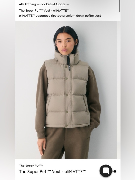 Aritzia Jackets & Blazers - Aritzia Super Puff Vest